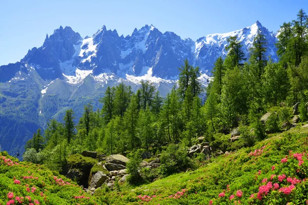 Landsbygd Med Mont Blanc Bergskedja Solig Dag Naturreservat Aiguilles Rouges Stockbild