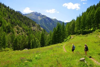 Gran Paradiso Ulusal Parkı 'nda yürüyüşçüler. Aosta Vadisi, İtalya. Güneşli bir günde güzel dağ manzarası.