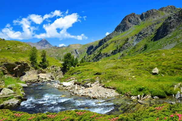 Gran Paradiso National Park Aosta Valley Italien Vackert Bergslandskap Solig — Stockfoto