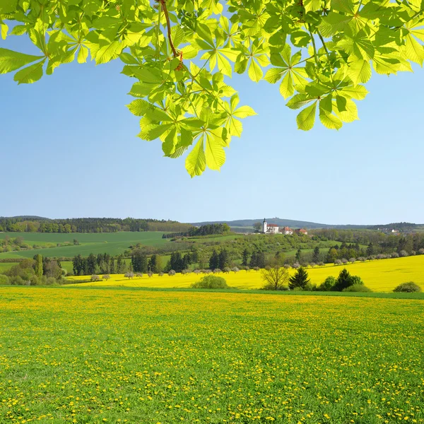 Lente landschap — Stockfoto