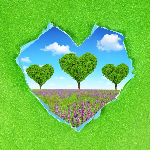 Green paper heart — Stock Photo, Image