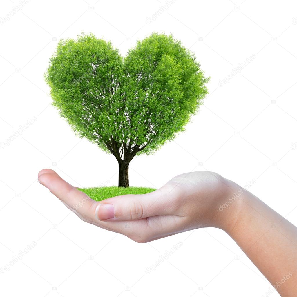 Growing tree in the shape heart in hand