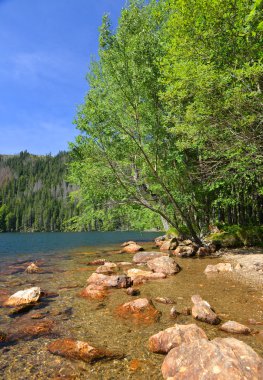 milli park sumava, Çek Cumhuriyeti