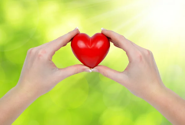 Heart in hands — Stock Photo, Image