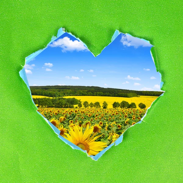 Frame from green paper heart — Stock Photo, Image