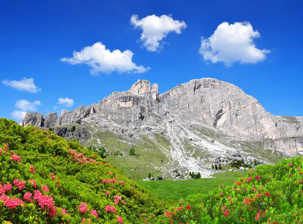 Szczytów Dolomitów, rosengarten — Zdjęcie stockowe