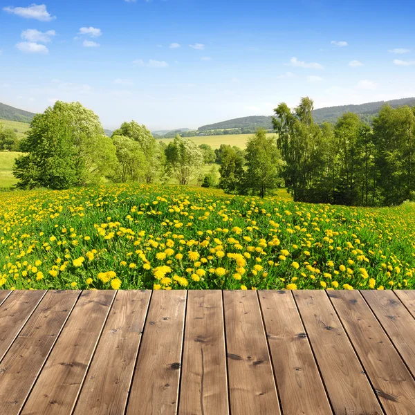 Våren landskap — Stockfoto