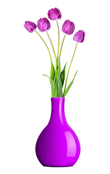 Tulipani viola freschi — Foto Stock