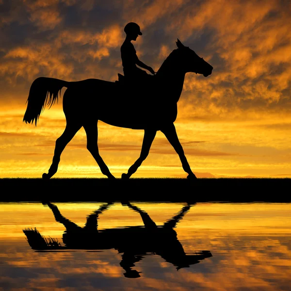 Reiter auf einem Pferd — Stockfoto