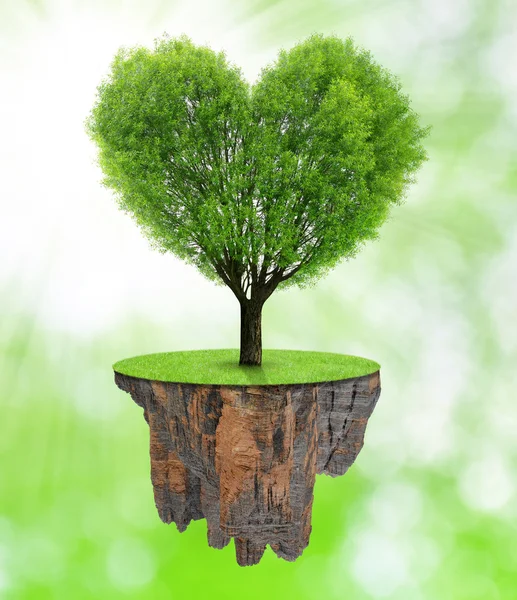 Träd i form hjärtat — Stockfoto