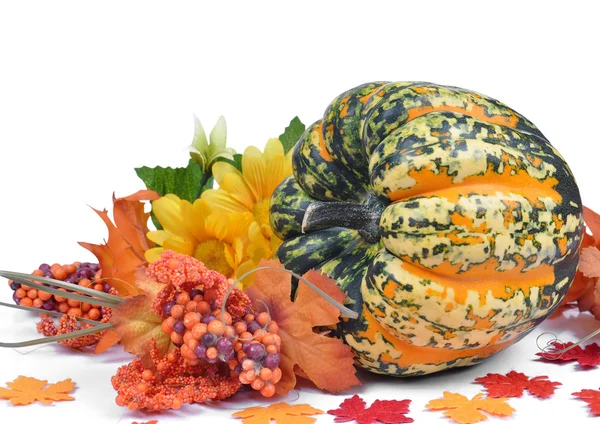 Colorful pumpkin — Stock Photo, Image