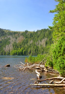 siyah lake, Çek Cumhuriyeti