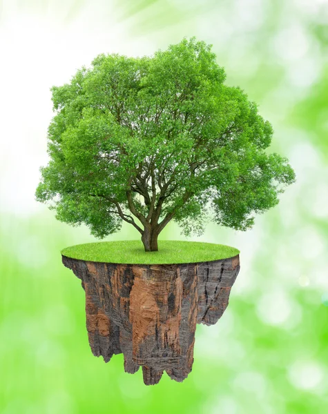 Pequeña isla y árbol — Foto de Stock