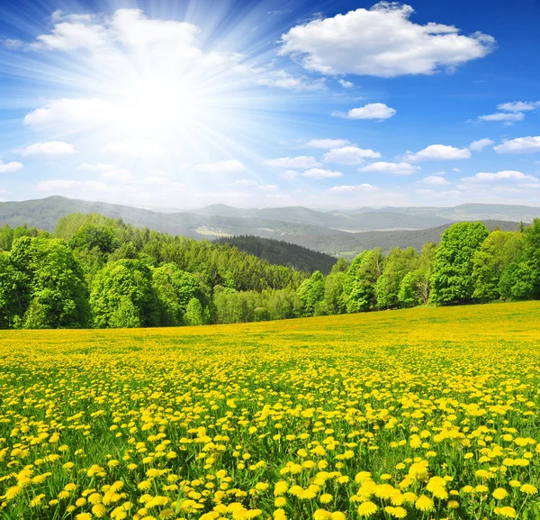 Paesaggio di primavera — Foto Stock