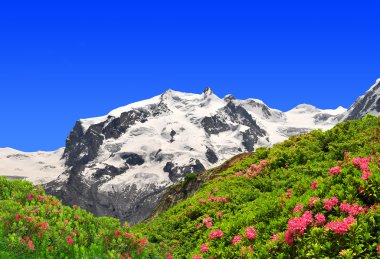 Monte Rosa