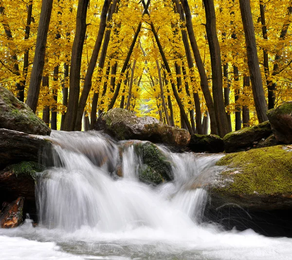 Vattenfall — Stockfoto