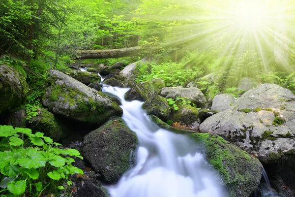 Fiume di montagna — Foto Stock