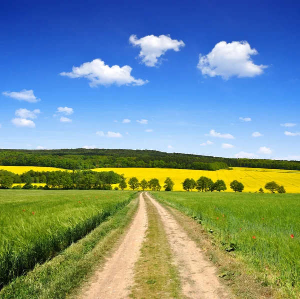 Onverharde weg — Stockfoto