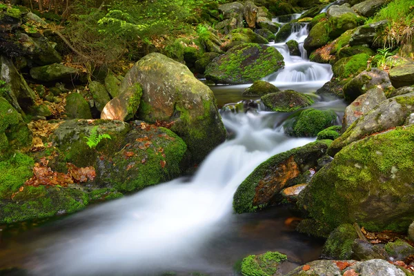 Bergkreek — Stockfoto