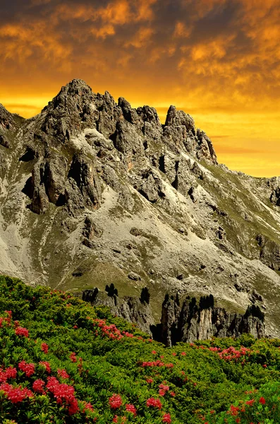 Val di fassa, Itálie Alpy — Stock fotografie