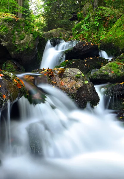 Arroyo de montaña — Foto de Stock