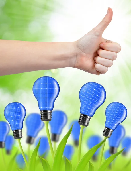 Mano con pollice in su ed eco lampadine ad energia — Foto Stock