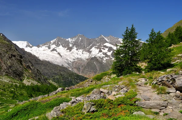 Švýcarské Alpy — Stock fotografie