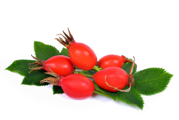 Rose hips