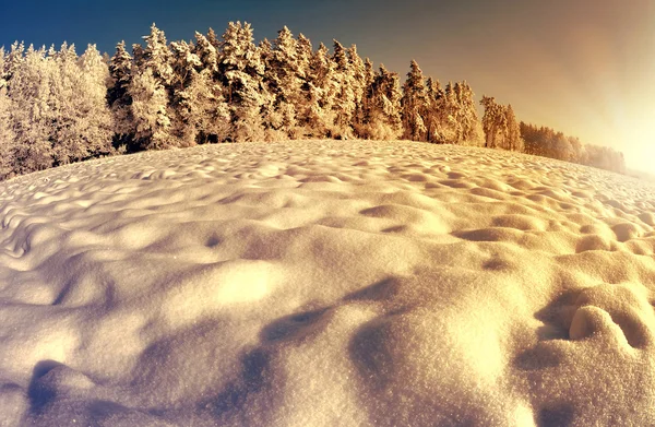 Paisaje invierno — Foto de Stock