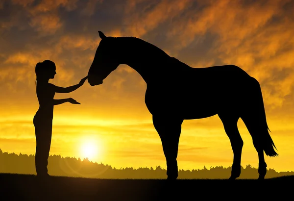 Flicka med en häst — Stockfoto