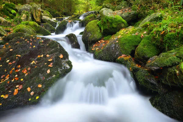 Bergkreek — Stockfoto