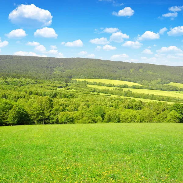 Paisagem Primavera — Fotografia de Stock