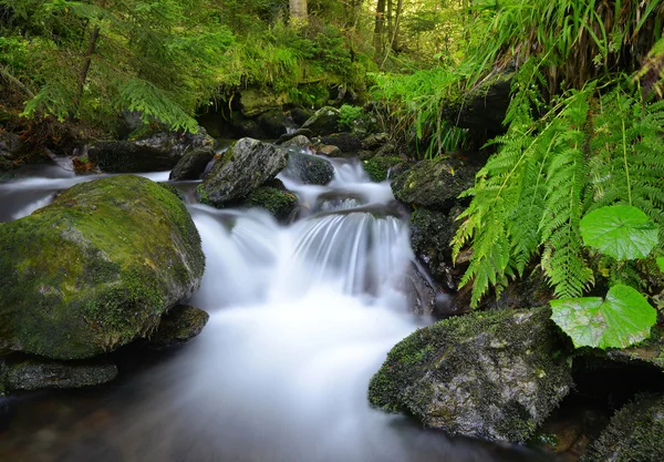 Gebirgsbach — Stockfoto