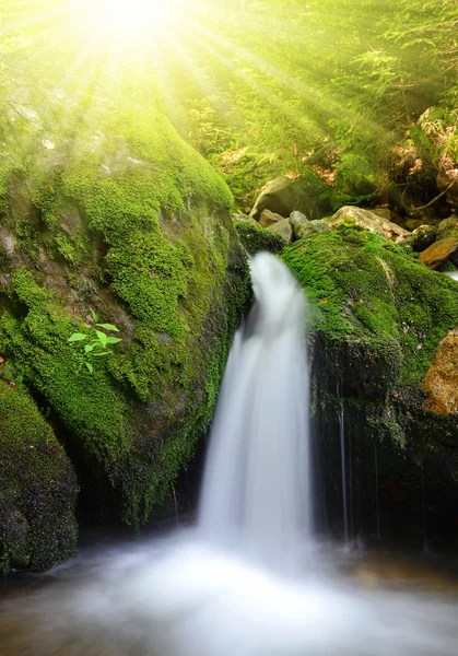 Cachoeira — Fotografia de Stock