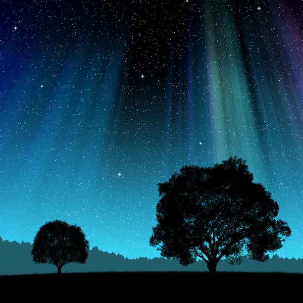 Nacht landschap — Stockfoto
