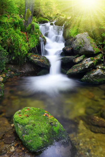 Cachoeira — Fotografia de Stock