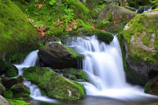 Wasserfall — Stockfoto