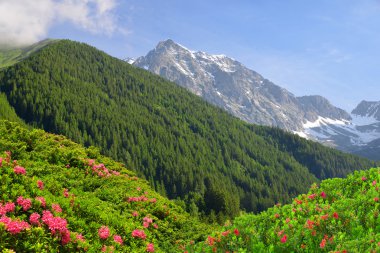 Antholzertal Vadisi'nden dağlarının görünümü