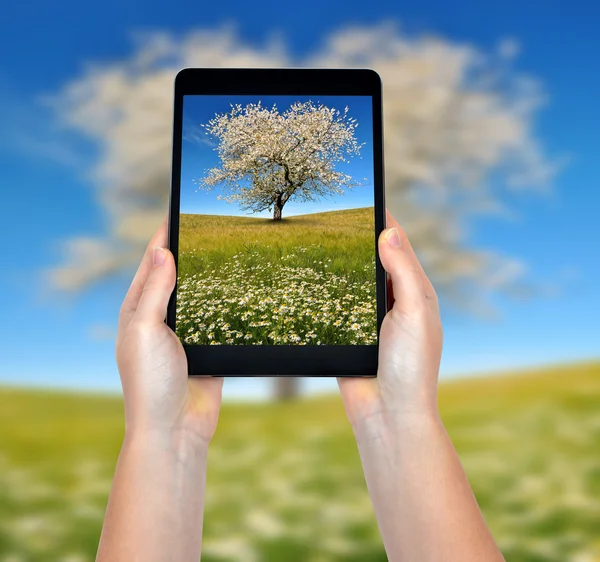 Taking photos with a tablet — Stock Photo, Image