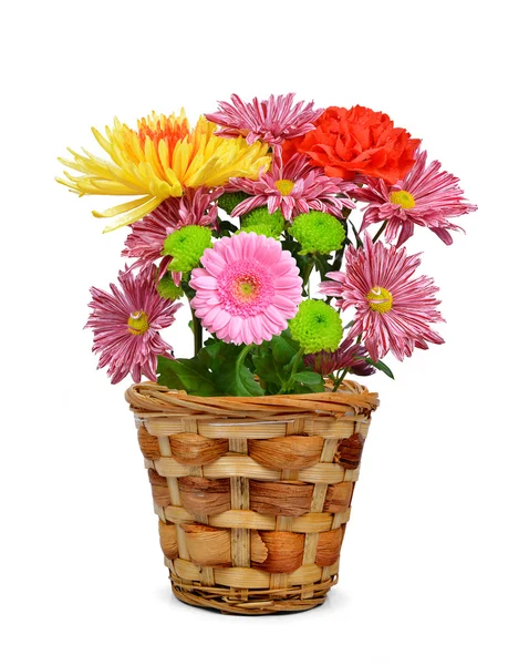 Spring flowers in pot — Stock Photo, Image