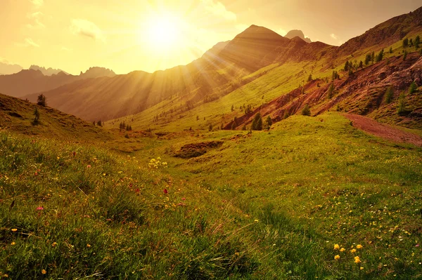 Dolomites - Italy — Stock Photo, Image