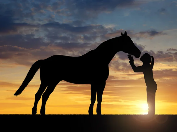 Silhouette of a girl giving a kiss horse — Stock Photo, Image