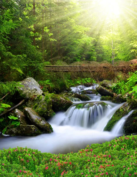 Vattenfall — Stockfoto