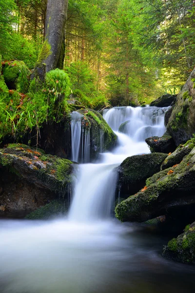 Wasserfall — Stockfoto