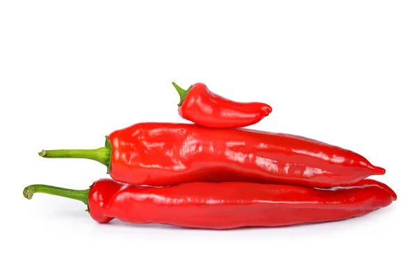 Rote Chilischoten — Stockfoto