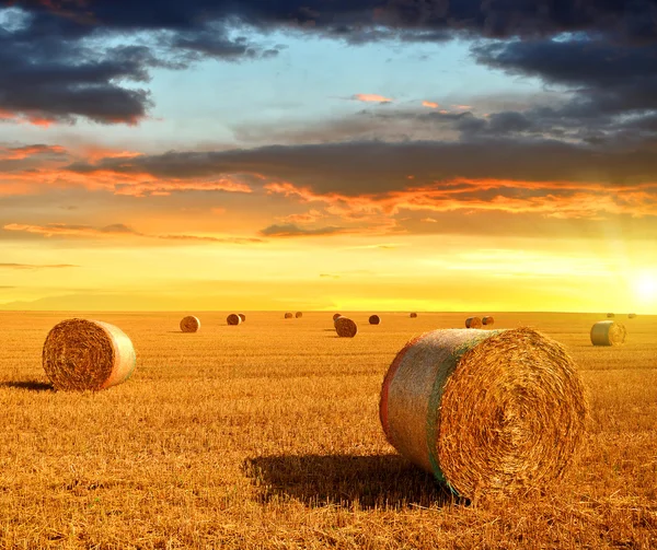 Straw bales — Stock Photo, Image