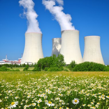 temelin nükleer enerji santrali