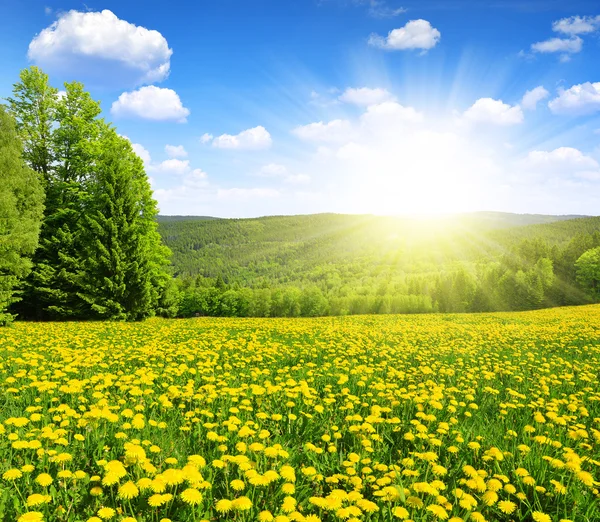 Paisagem Primavera — Fotografia de Stock