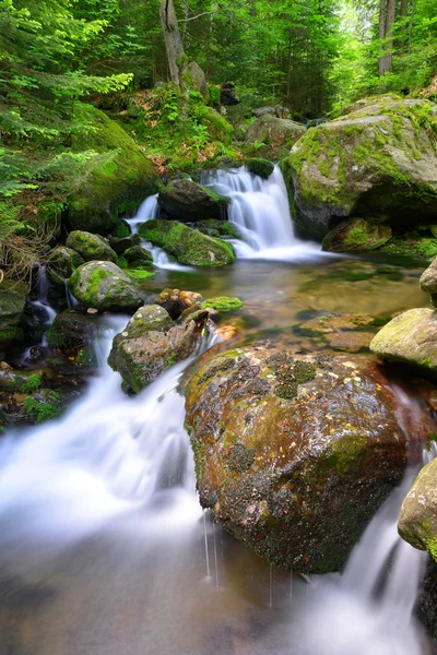 Arroyo de montaña — Foto de Stock