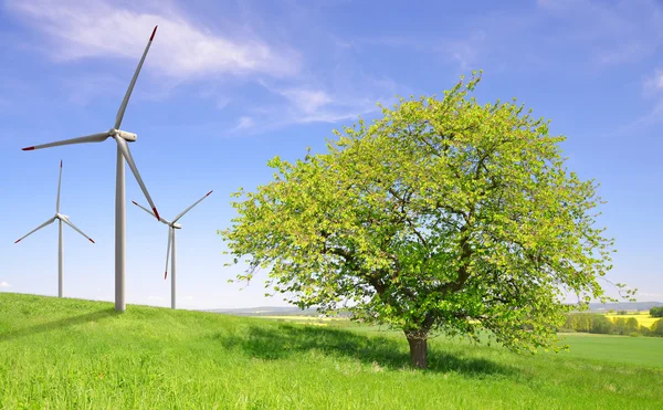 Дерево с ветряными турбинами на лугу — стоковое фото